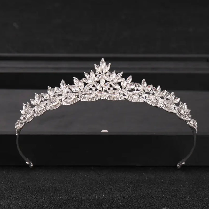 Tiara Pictor